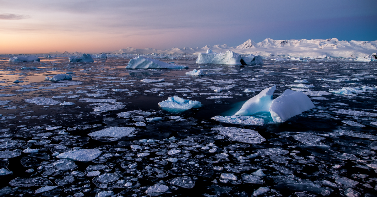 Is Krill Oil Sustainable?